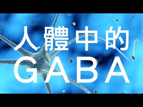 氨基丁酸GABA-人體天然保健品，大腦裡的減速器❗️調節免疫功能、抗焦慮、治療慢性疾病全靠它💯❗️【四維健康】