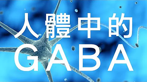 氨基丁酸GABA-人体天然保健品，大脑里的减速器❗️调节免疫功能、抗焦虑、治疗慢性疾病全靠它💯❗️【四维健康】 - 天天要闻