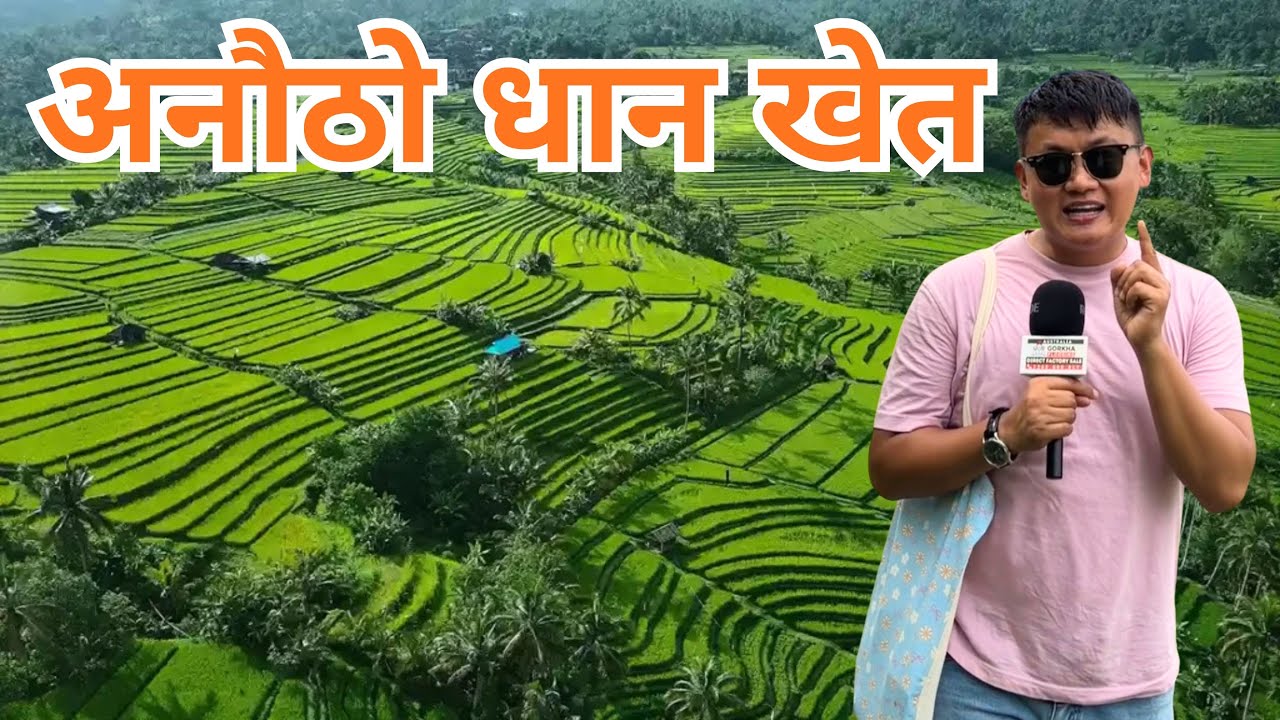 विश्व सम्पदा सुचिमा परेको अनौठो धान खेत- नेपाललाई ठुलो पाठ Jatiluwih, Bali Indonesia  