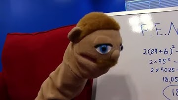 Ball buster brooklyn guy is back!