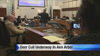 Ann Arbor deer cull sparks protest, federal lawsuit
