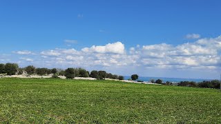 Splendido Terreno Vista Mare Polignano