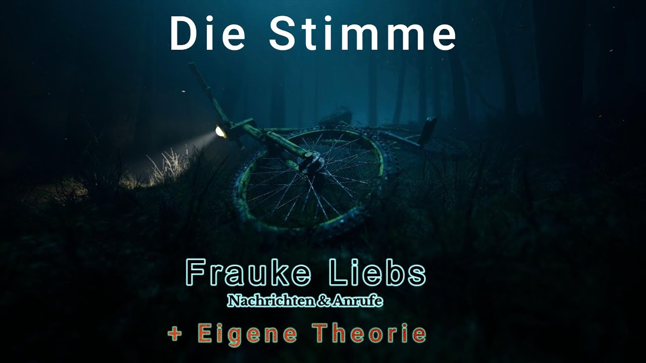 Der #coldcase Fall: Frauke Liebs Nachrichten und Telefonate und eigene Theorie dazu