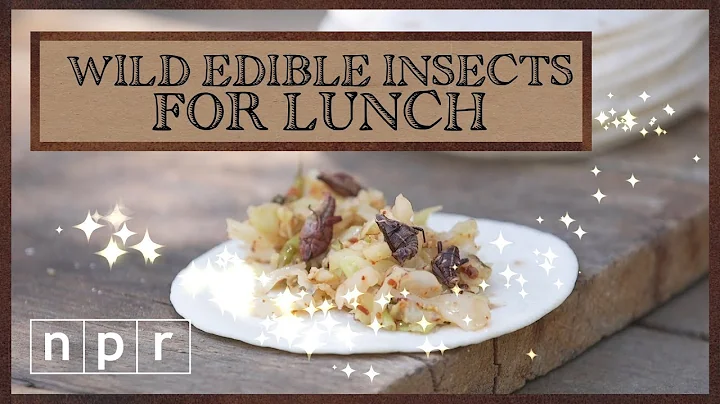Four Fancy Meals You Can Make With Bugs | Foraging | NPR - DayDayNews