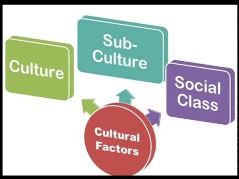 Culture issues. Culture issues. Culture issues. Political communication. Culture issues.