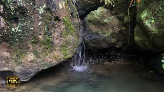 Waterfall  the sound of a waterfall flowing fast  the sound of flowing water bird therapy
