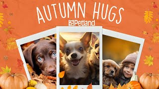🍁🍂Autumn Puppy Hugs