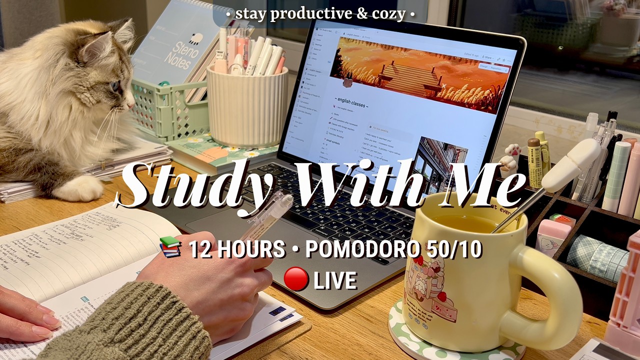 [LIVE] 12 HR • STUDY WITH ME • Pomodoro 50/10 🔥 Fireplace sound