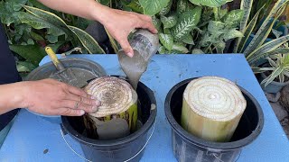 How to make a cement flower pot planters with two plastic bucket, easy to make pots