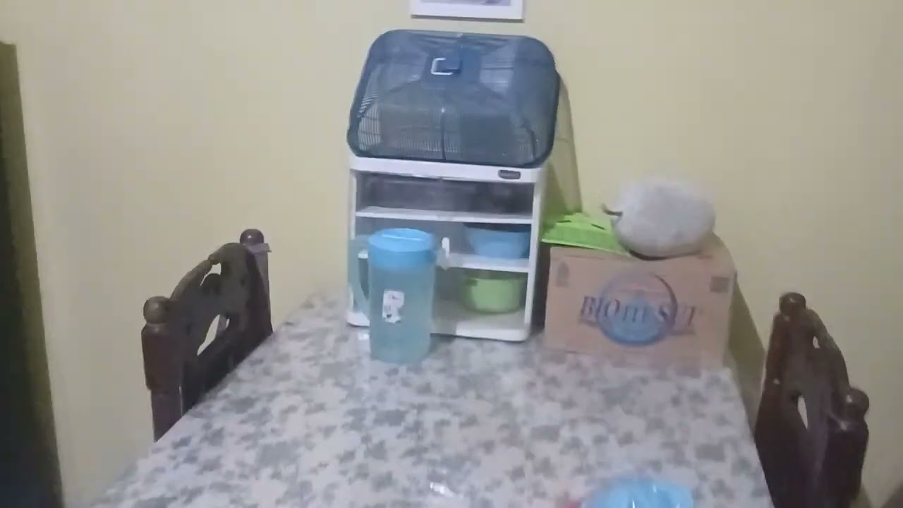 Video pour passer le temps/Vidio untuk mengisi waktu luang...