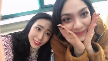 The Day of my Life in Yonsei Korean Language Institute/我在延世的生活 韩国延世语学堂 留学Vlog