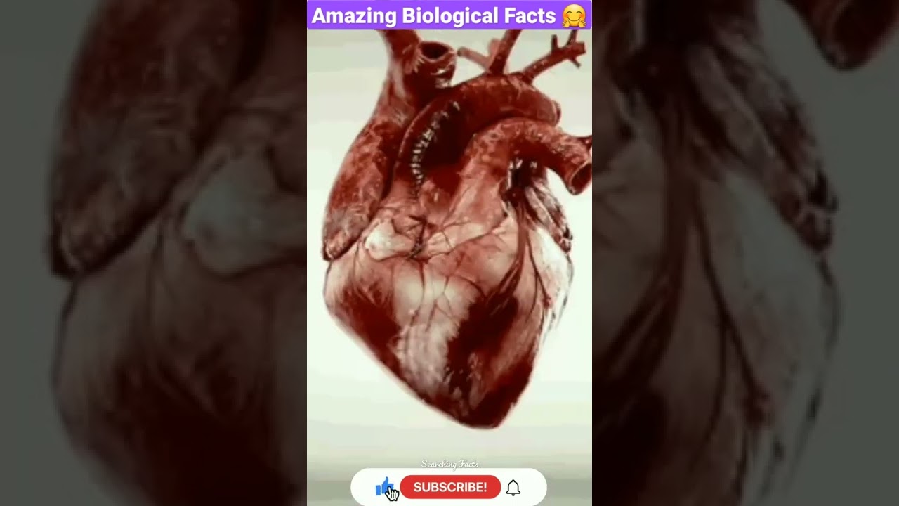 Amazing Facts About Biology🤗🤯🧐||3 biological facts||