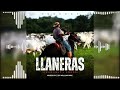 Llaneras venezolanas  sonadas mix 2024  djwilliammix