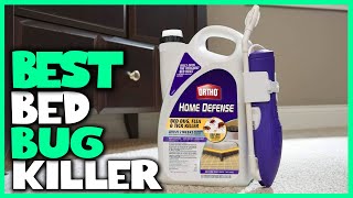 Best Bed Bug Killer for up to 6 Month Insect Control in 2023 [Top 4 Review]