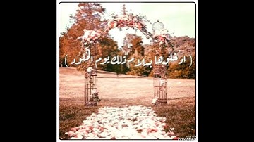 ادْخُلُوهَا بِسَلَامٍ ۖ ذَٰلِكَ يَوْمُ الْخُلُودِ  #حالات_واتس #سورة_ق