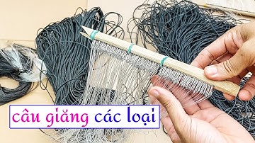 Bán câu giăng các loại cá trên sông, rạch, hồ, đập, ruộng giao hàng toàn quốc