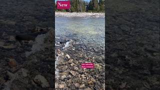 Canada 🇨🇦 Toronto #fypシ lake view #trending #youtubeshorts #summer #ytshorts