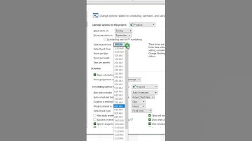 How to configure plan calendar options in MS Project Pro?  #msproject #oberemokii #microsoftproject