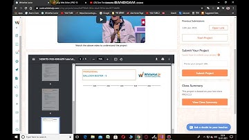 Project-13 White Hat Junior