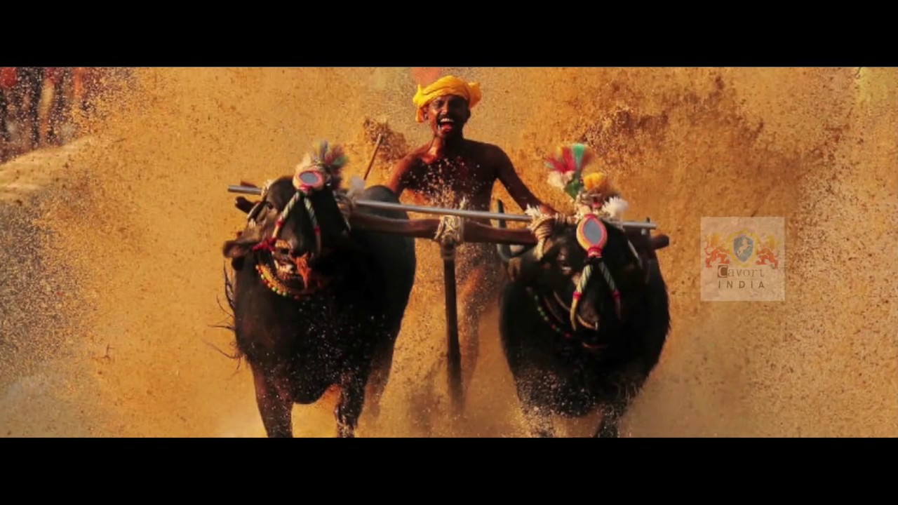 KAMBALA NAMMA Kambala Theme Song in the voice of Patla Satish Shetty ORIGINAL VIDEO