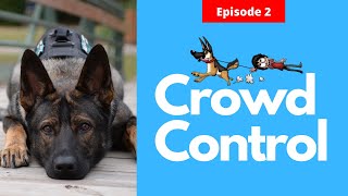 Service dog crowd control - Your service dog can help you keep distance from the Crowd.