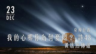 20201223泉源甘露│我的心哪你為何憂悶？│詩篇43│黃浩然傳道