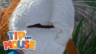 🐭😀Wobblying Tooth - Part 1 - Tip the mouse😀🐭