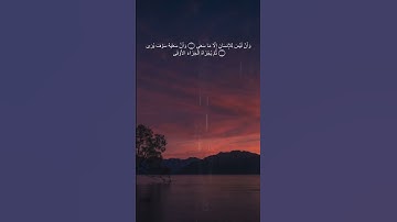 القرآن الكريم سورة النجموان ليس للانسان الا ما سعى #قرآن #سورة النجم #قرآن #quran