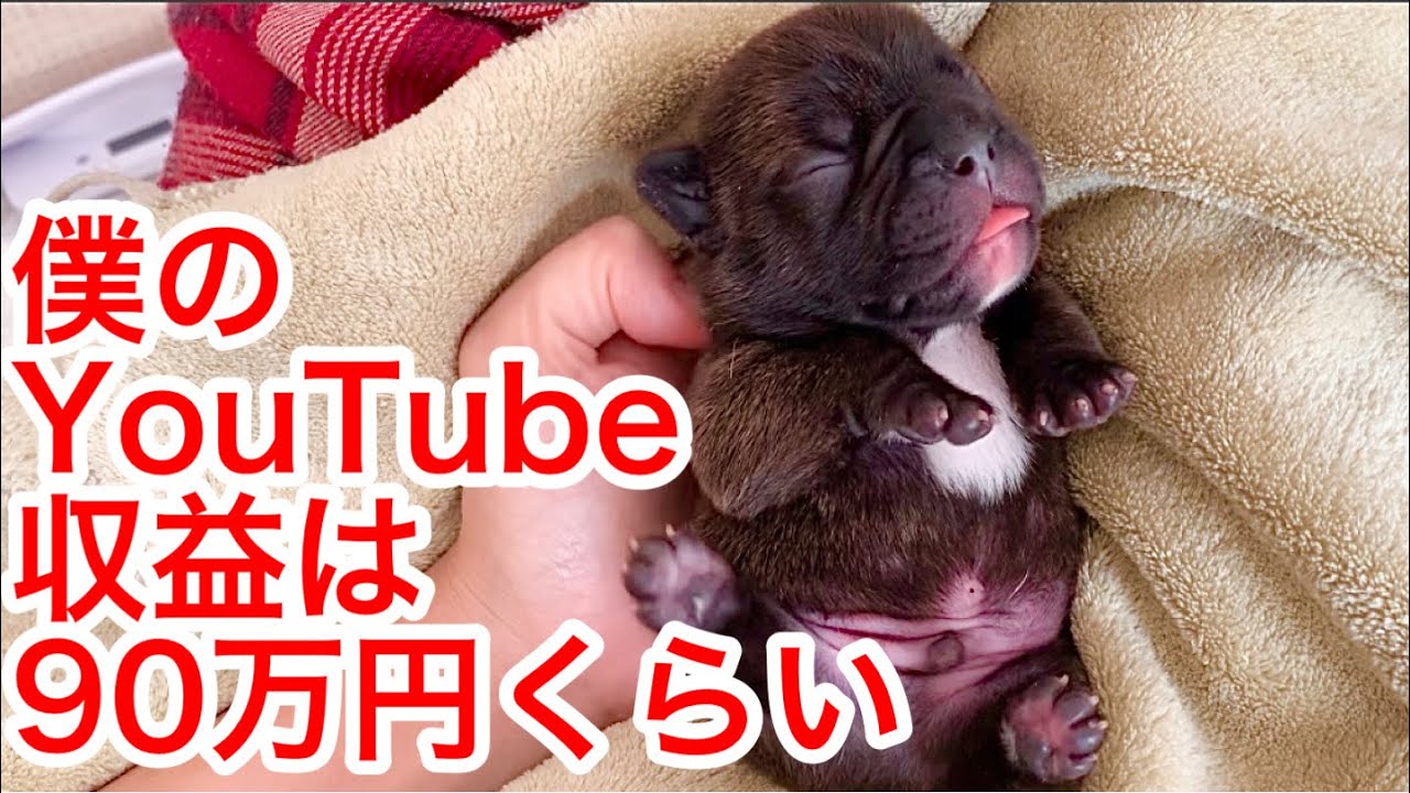 2万人突破記念 Youtuberの収益を大公開 登録者数2万人のユーチューバーの給料 Youtube 2万人突破記念 Youtuberの収益を大公開 登録者数2万人のユーチューバーの給料 Youtube