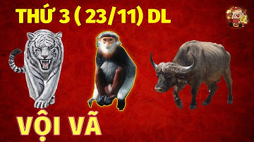 Tu Vi Hang Ngay, 3 Con Giáp Được Tiết Lộ Thiên Cơ, Trúng Quả Trả Nợ, Giàu Có Bất Ngờ