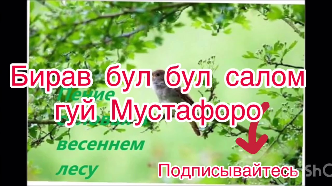 Салавот бар мухаммад бо забони точики текст Салавот бар мухаммад бо забони точики текст