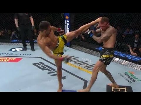 Renato Moicano vs Rafael dos Anjos fight footage