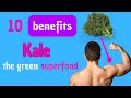 Discover the incredible properties of kale superfoods
