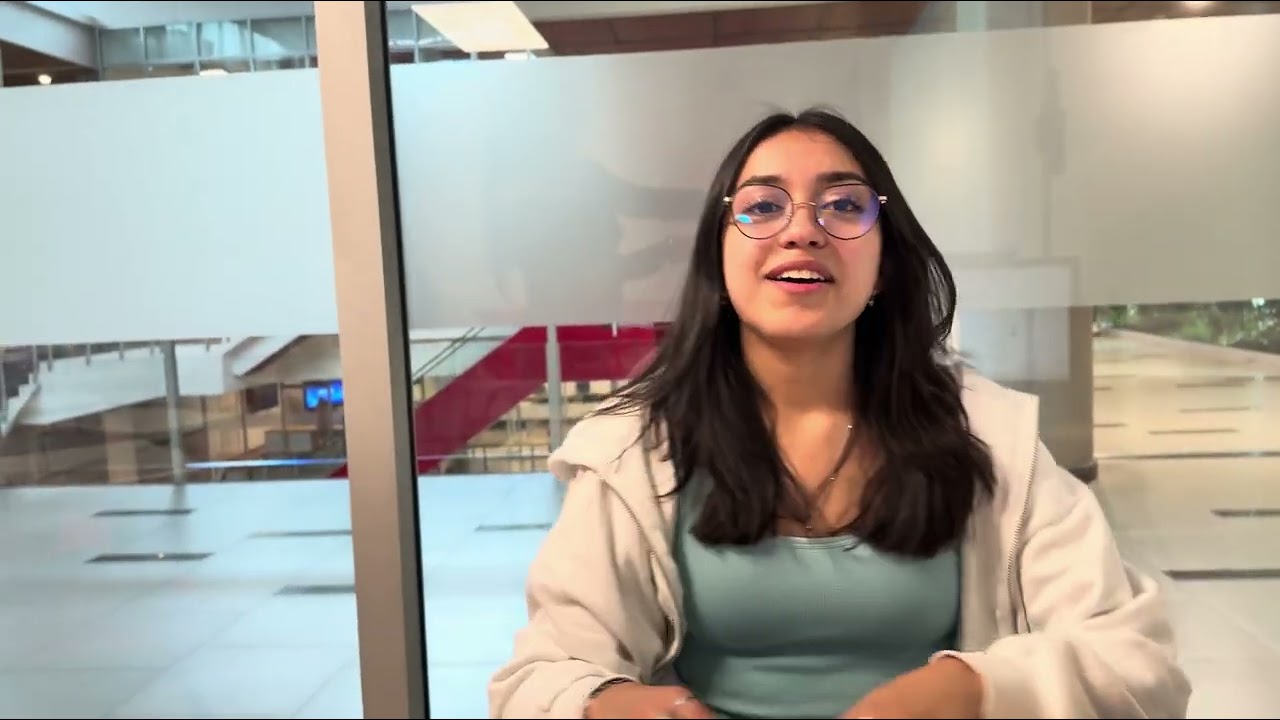 Proyecto integrador Igualdad de género