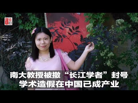 新闻时时报 | 南大教授被撤“长江学者”封号，学术造假在中国已成产业（20181230）