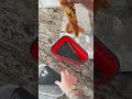 This is genious… #pizza #storagehacks #homehacks #dealsforyoudays #foodstorage
