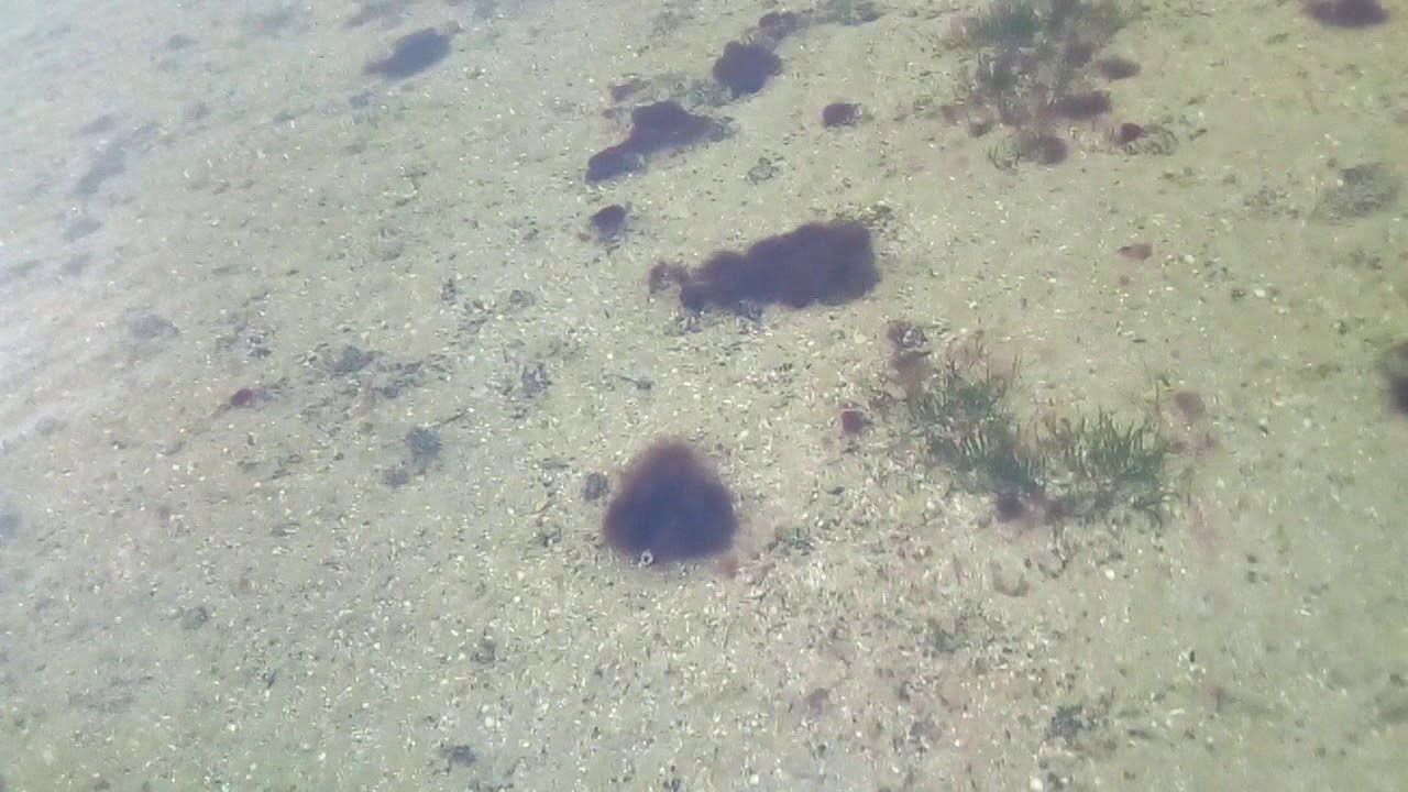 Нирвана 2 - YouTube