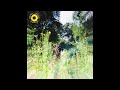 Rex Orange County - Sunflower (Official Audio) Mp3 Song