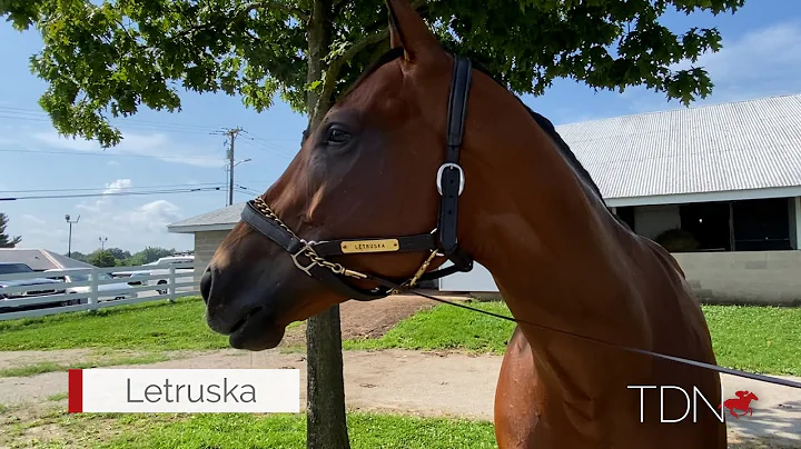 Letruska Sends Trainer Fausto Gutierrez to New Hei...
