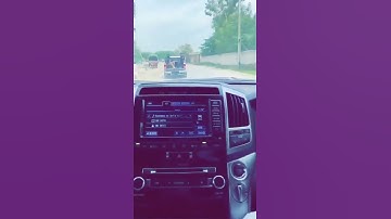 #protocol #vip #girl #hot