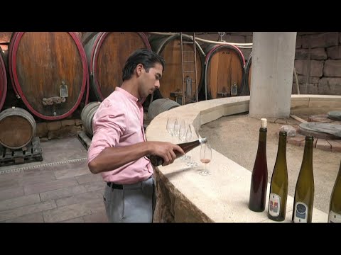 تصویری: بهترین کارخانه های شراب سازی در شیلی