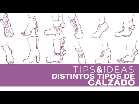Video: Cómo Dibujar Zapatos