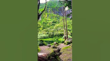 وأصحاب اليمين ❤️ #سورة_الواقعة #القارئ_الشيخ_محمود_الوليد #قرآن #تلاوة #رمضان #الحج #تلاوة_خاشعة