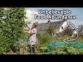 Living the Self-Sufficiency Dream on a Tiny Homestead | Organic & Permaculture Abundance