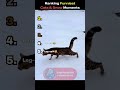 Ranking The Funniest Cats &amp; Snow Moments🤣🔥