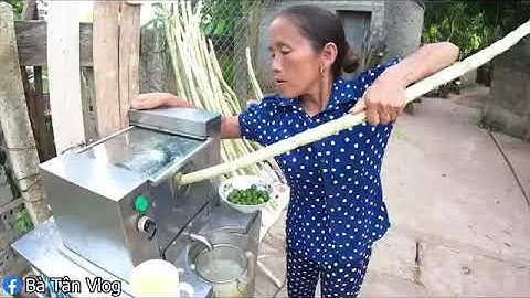 Bà Tân Làm Cóc Nước Mía Siêu To Khổng Lồ