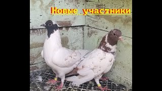 Новые Участники на полигоне от Алексея из Ростова!