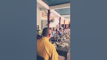 Niệm Phật trước khi dùng cơm chánh niệm| Khóa tu chùa Chánh Thiên | @ThichNhatDao #thichnhatdao