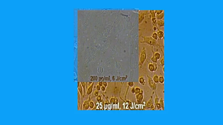 24C748361A78D1CF63F2D7729BDD7D#2