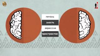 Видео Валид Фатихи 3. Влияние грубого отношения на будущее детей (автор: Studio ISTIQAMA)